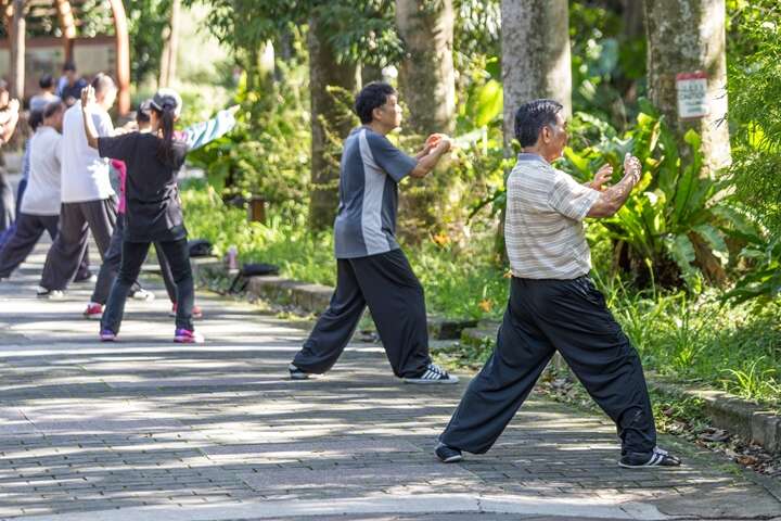 TAIPEI 夏季号 2016 Vol.06 異次元ジャングル「台北植物園」