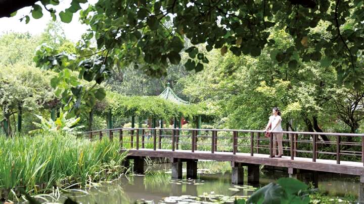 TAIPEI WINTER 2016 Vol.06　A Time/Space Oasis –Taipei Botanical Garden
