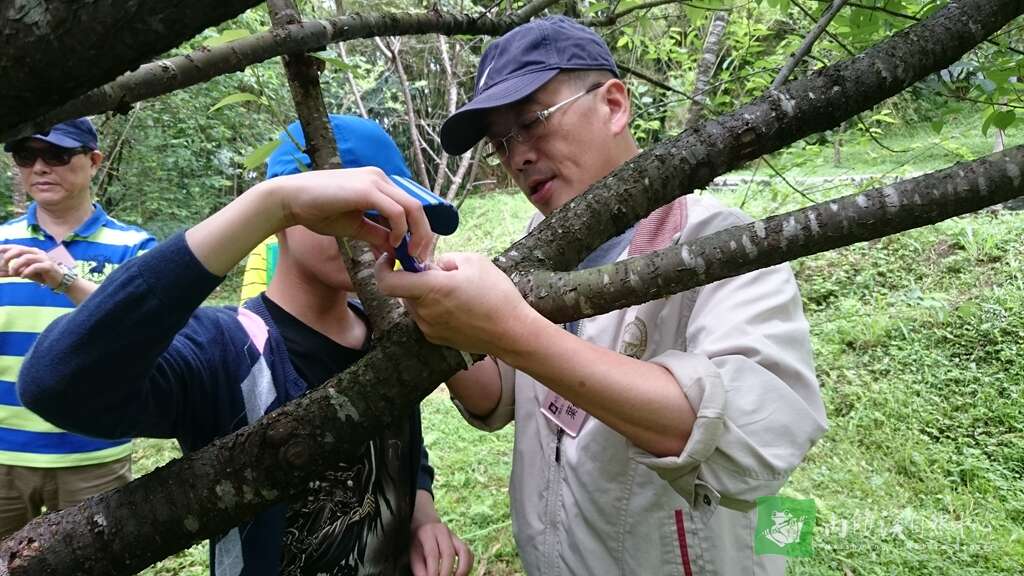动手扮演森林调查队，帮树木量身高！