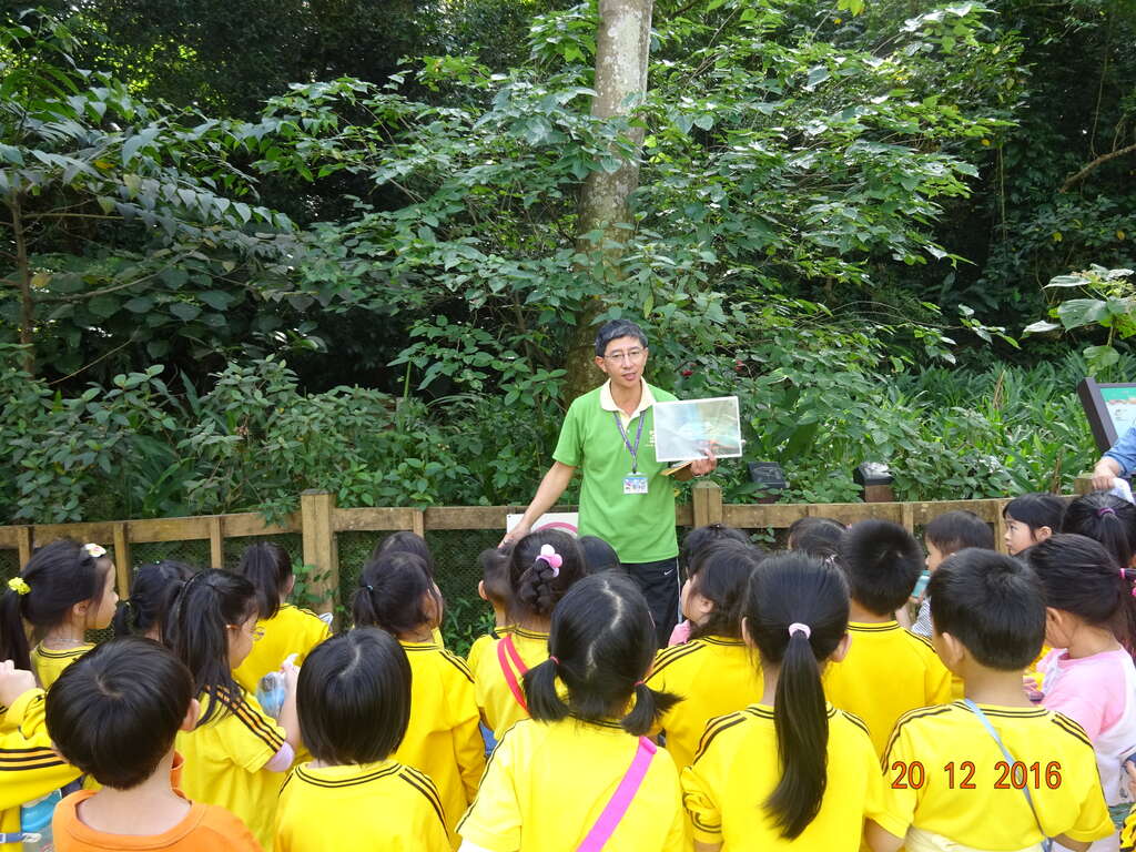 圖6. 小朋友們開心參與中強樹蛙生態導覽活動(3)