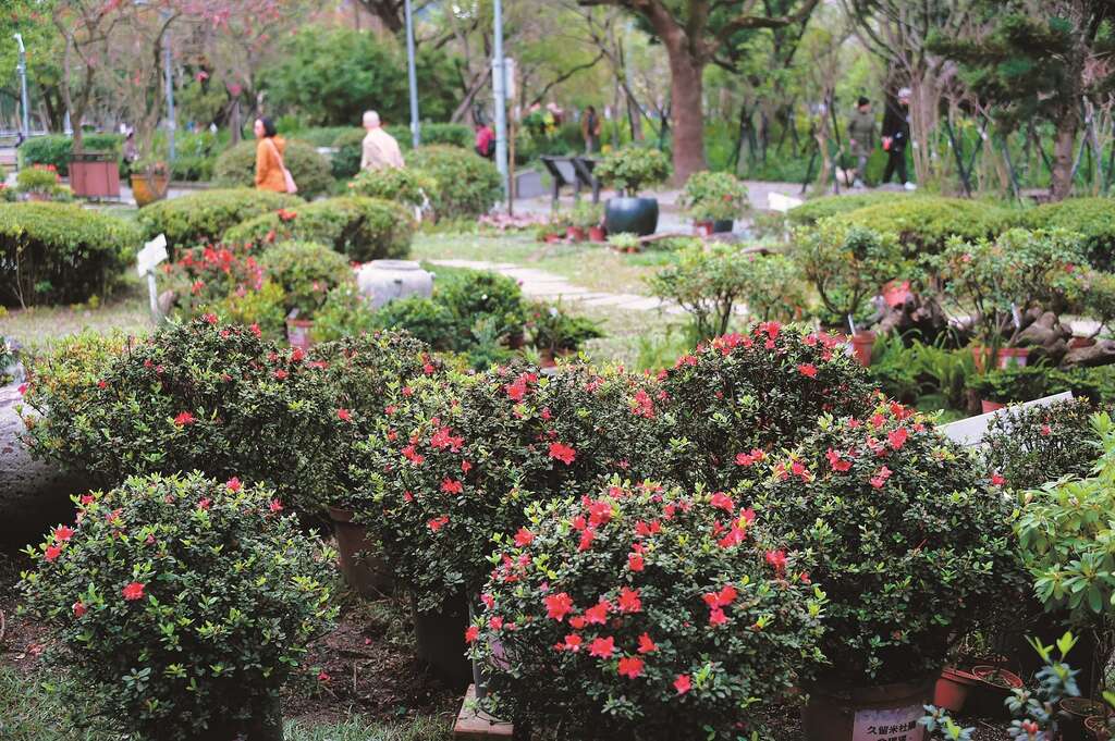 台北画刊106年4月第591期—杜鹃花大使　翁滋蔓　全心投入坚持做自己
