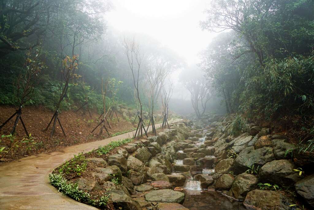 阳明山竹子湖阳明溪畔步道