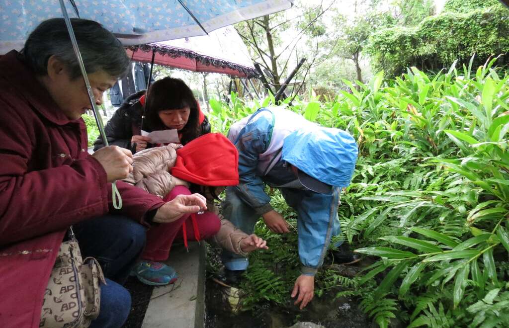 赏萤地图在手  大家来看城市火金姑