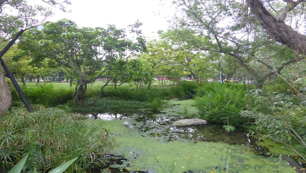 赏萤地图在手  大家来看城市火金姑