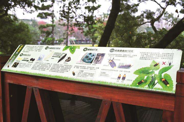 ホタル観賞に訪れる市民の理解を助ける栄星花園公園の解説ボード。（写真／黄建彬）