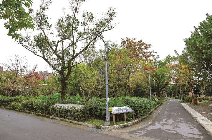 The LED lights in Daan Park reduce harm to fireflies. (Photo: Huang Chienpin)