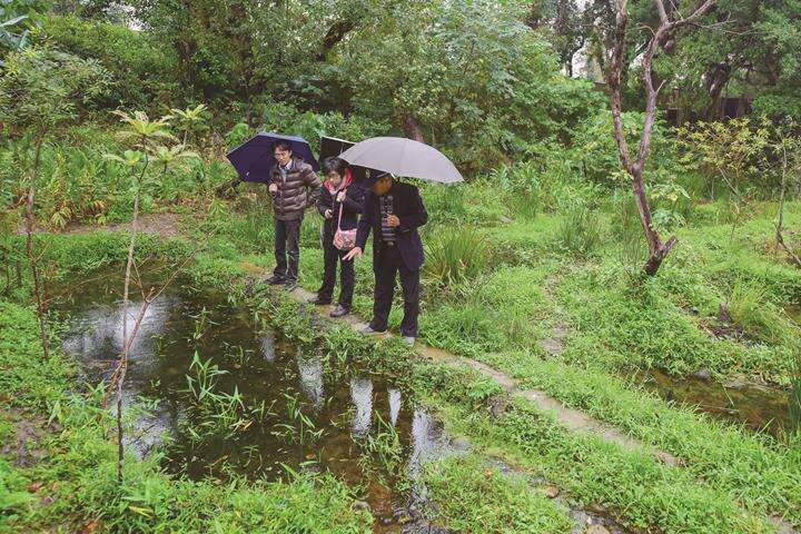 Professor Yang Pingshi (right) introduces Rongxing Garden Park’s restoration eco-pool to park volunteers. (Photo: Huang Chienpin)