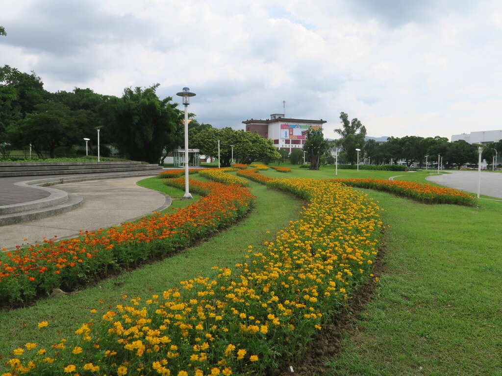 色彩繽紛的花田映照陽光、藍天，讓市民更想親近大自然。