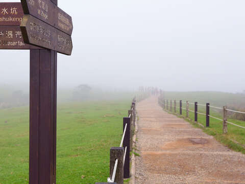 Qingtiangang Grassland