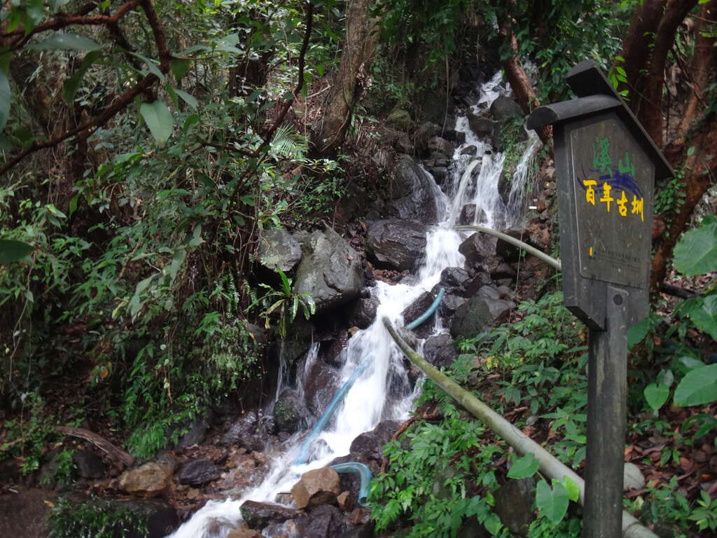 照片7 水圳步道終點落瀑水量充足 拍打疊石上造成聲響。
