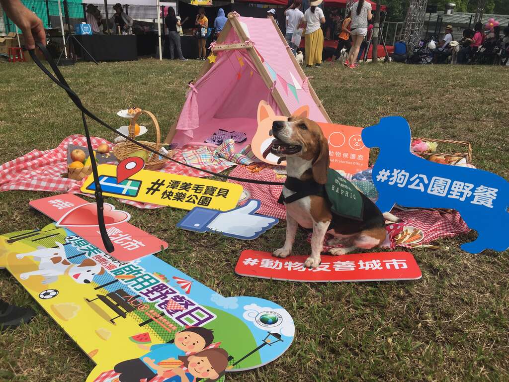 图5. 检疫犬共襄盛举