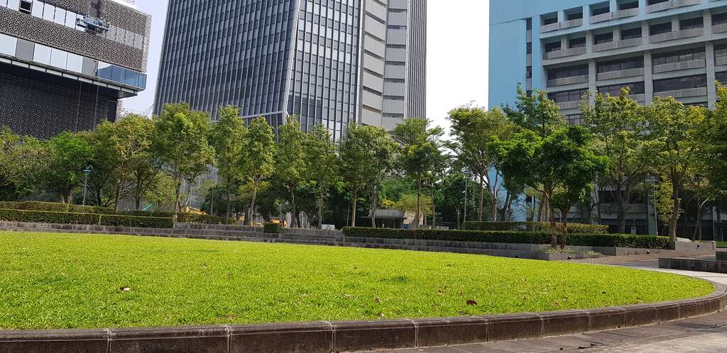 圖1. 信義廣場美麗的大草坪