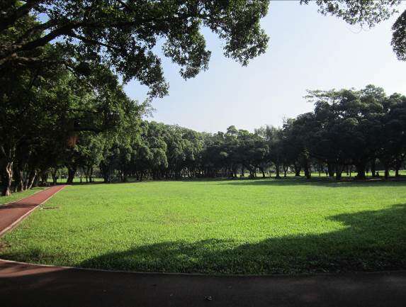青年公園