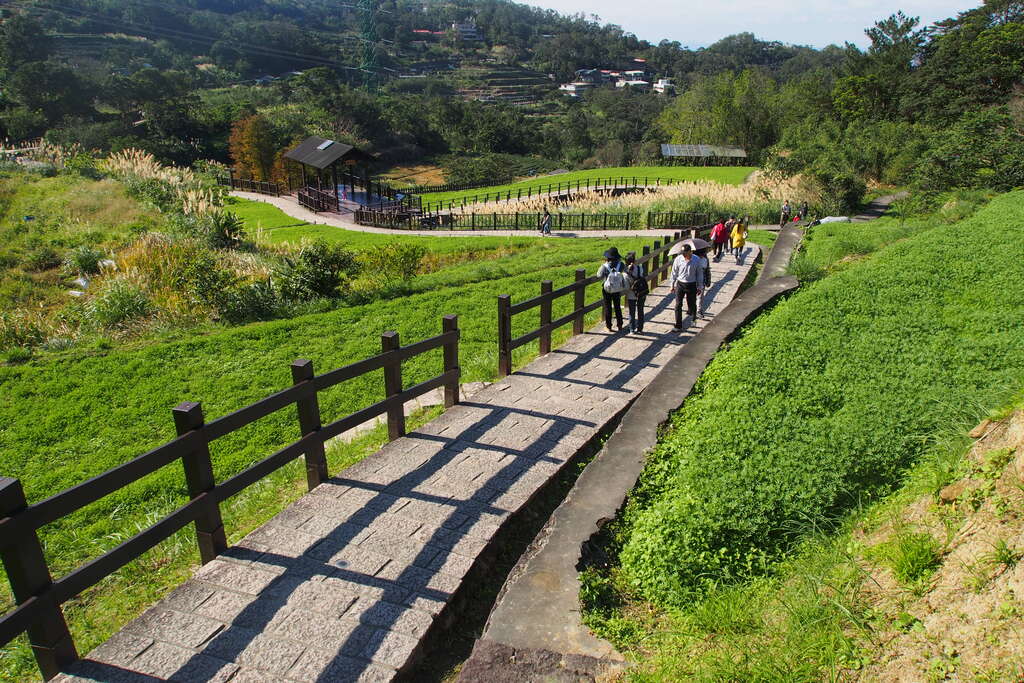 照片3 樟樹步道沿途綠意景緻