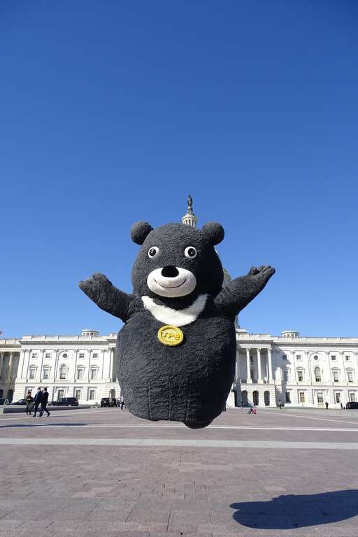 國會山莊出現「熊飄」，萌煞現場大量遊客