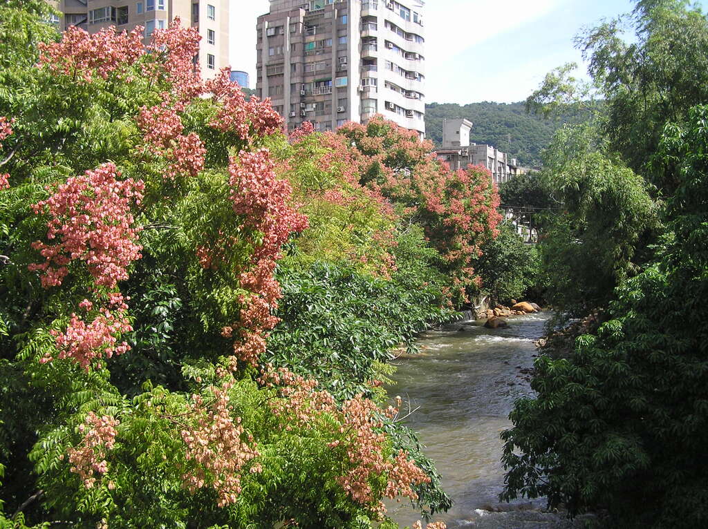 天母北路磺溪河畔