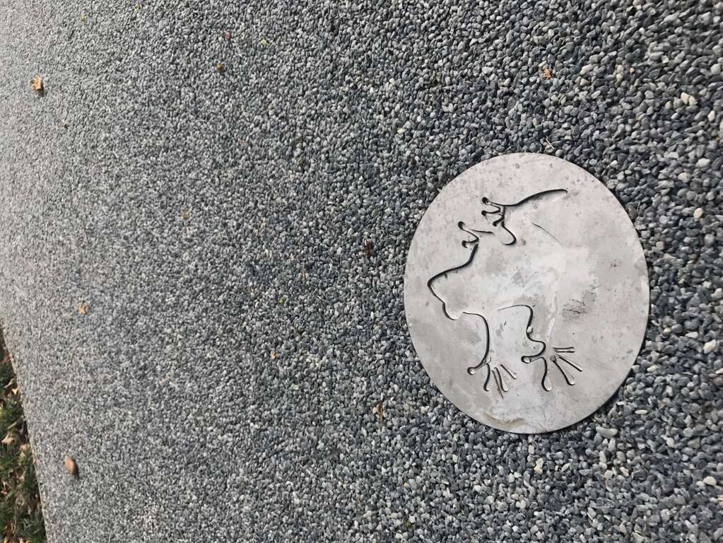 照片10.镶嵌於地面的树蛙图像，象徵生命的跳跃