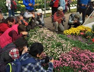 2017士林官邸菊展C.K.S. Shilin Residence Chrysanthemum Show