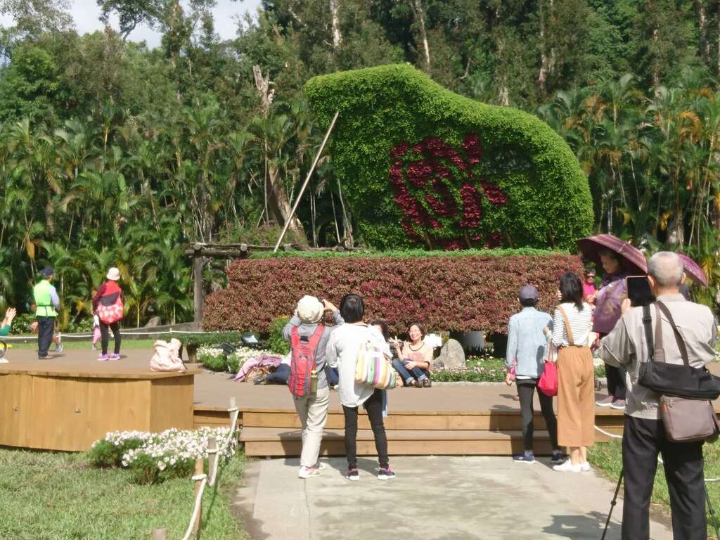 钢琴绿雕广受民众欢迎