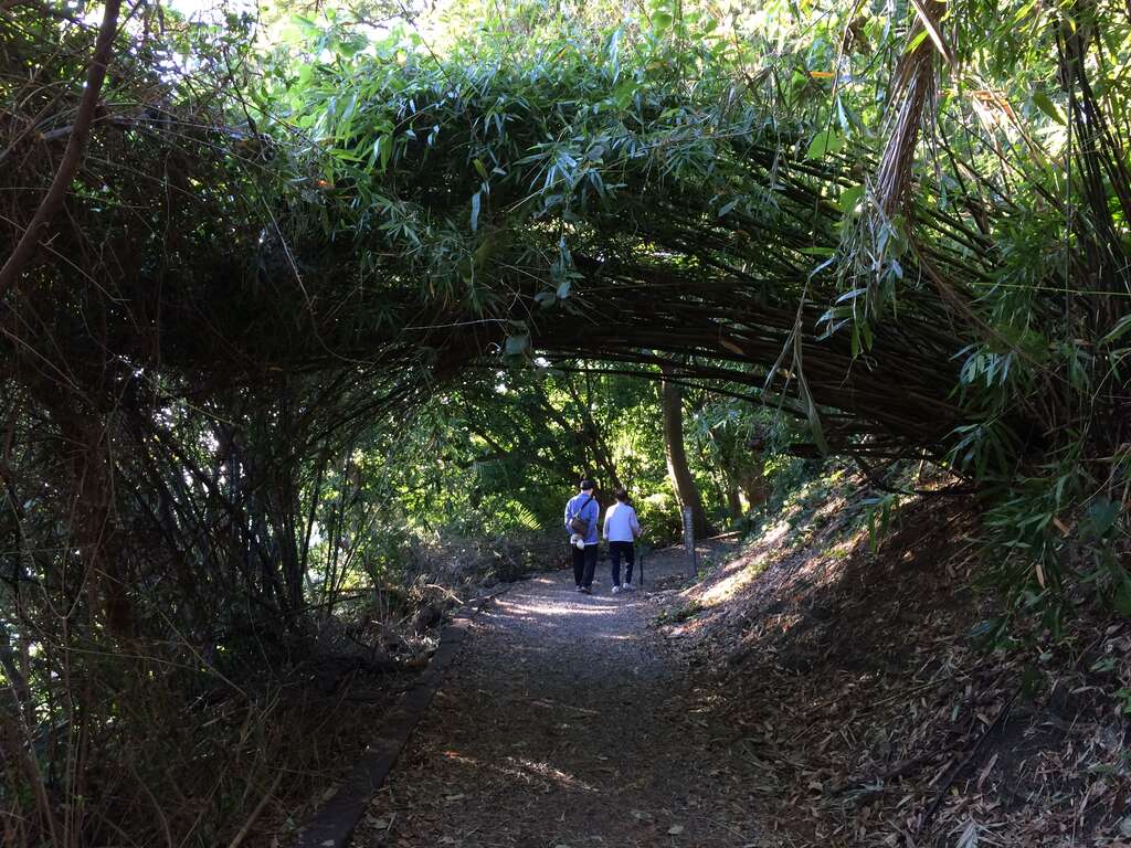 天母古道綠意盎然
