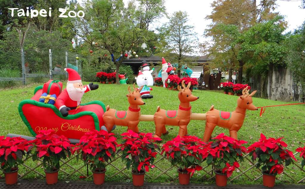來動物園過聖誕節~白天夜晚風情迴異！