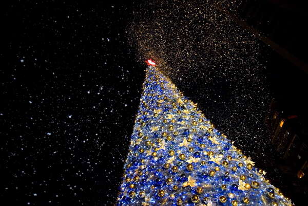 Christmas tree at Xinbeitou Historic Station