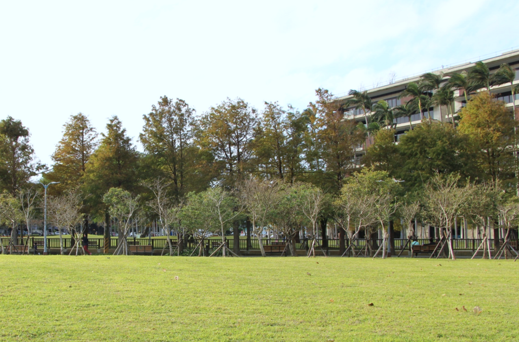 圖1.士林官邸公園靠中山北路側擁有美麗的落羽松群及大片草皮