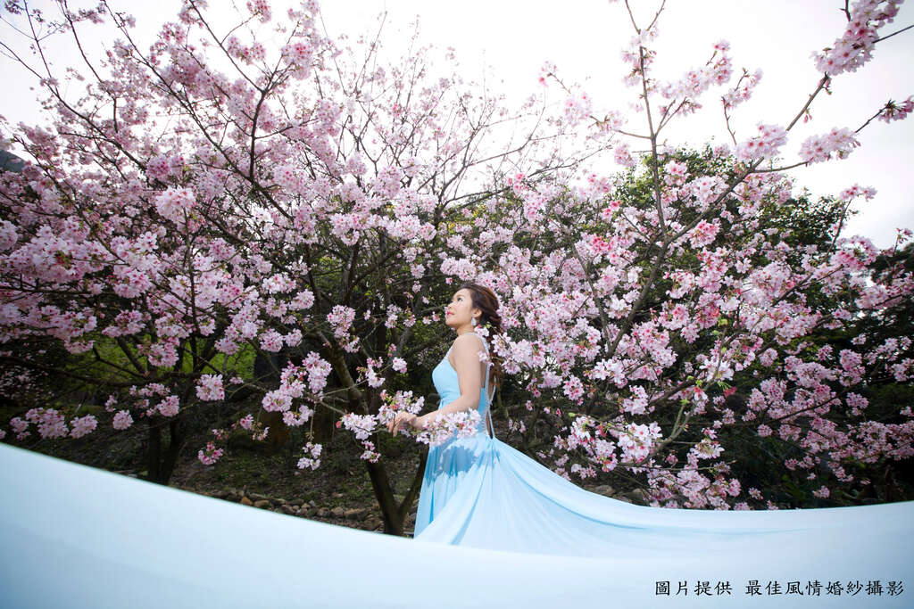 台北市婚纱拍摄景点照片