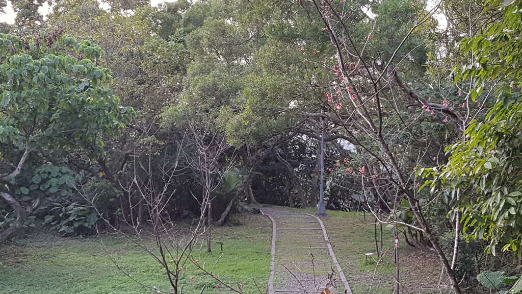 春節輕登山 北市首選140高地公園