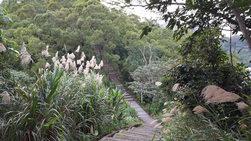 春節輕登山 北市首選140高地公園