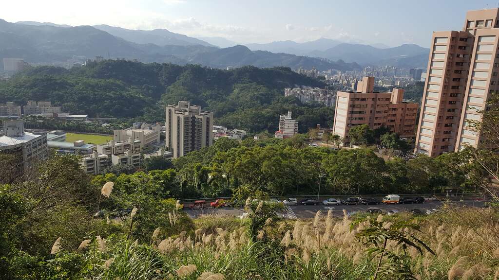 春節輕登山 北市首選140高地公園