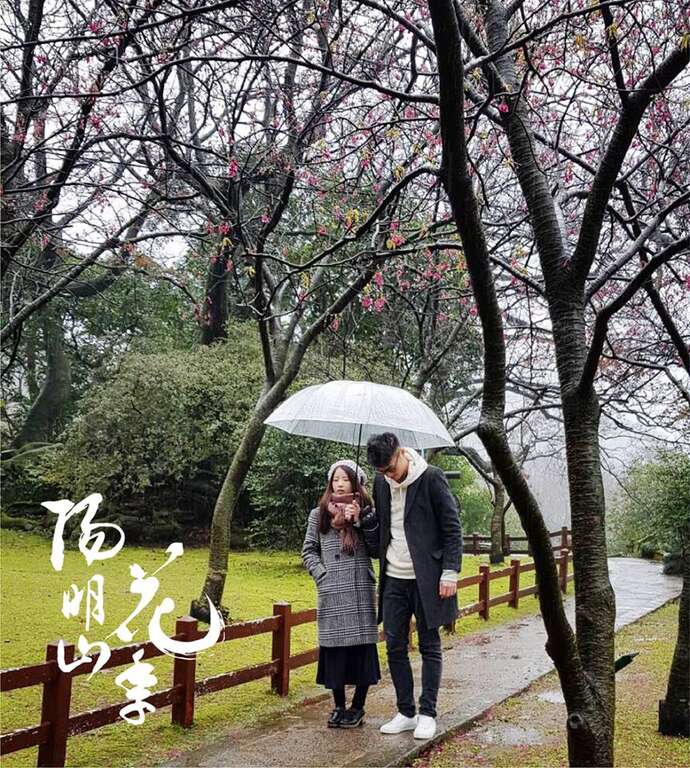 2018 양밍산 꽃축제 Yang Ming Shan Flower Festival