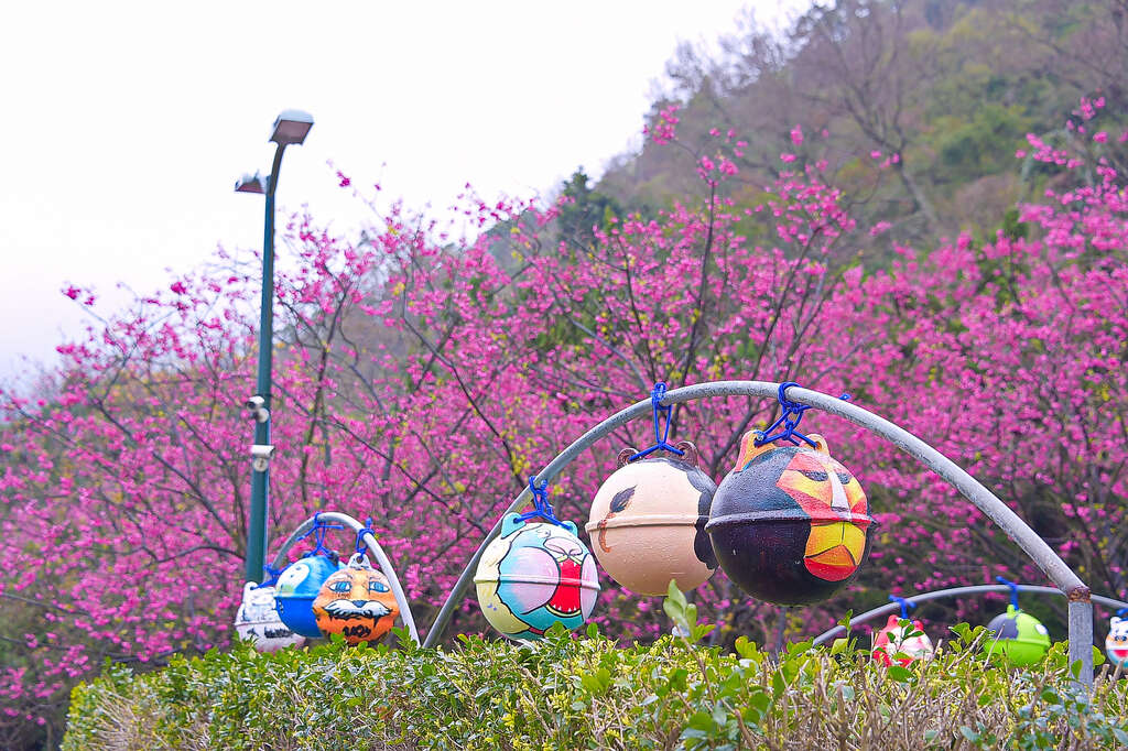 2018 Yangmingshan Flower Season Kicks off