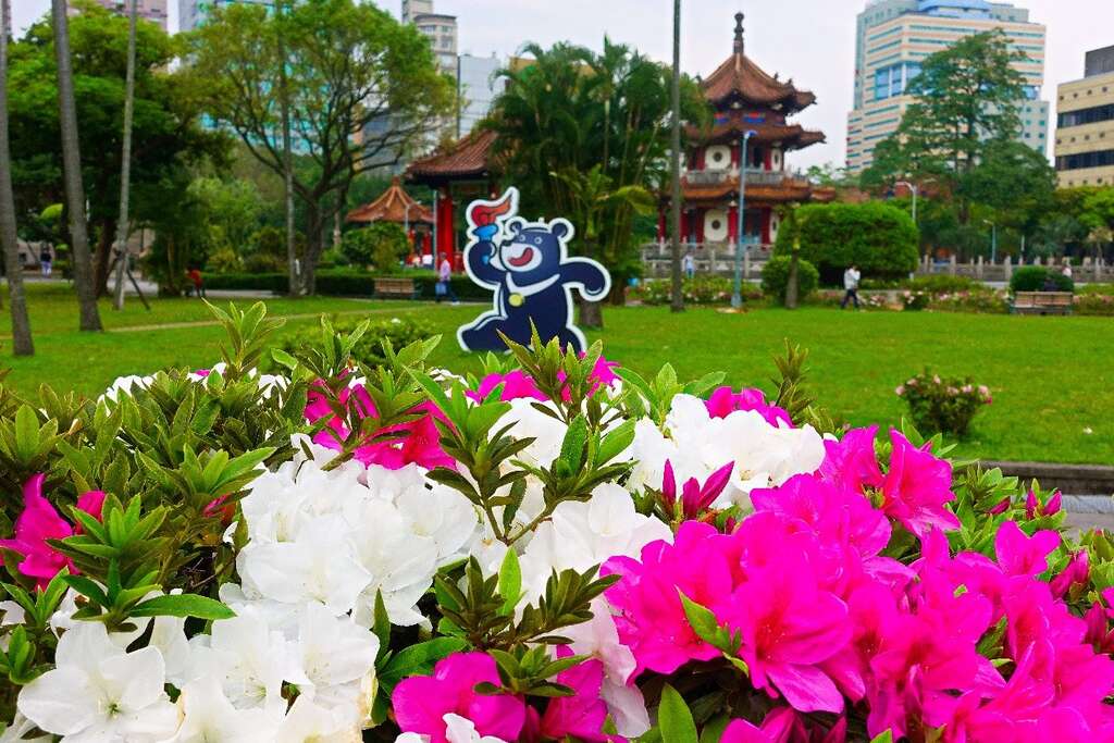 2018台北杜鹃花季 打卡地点特搜