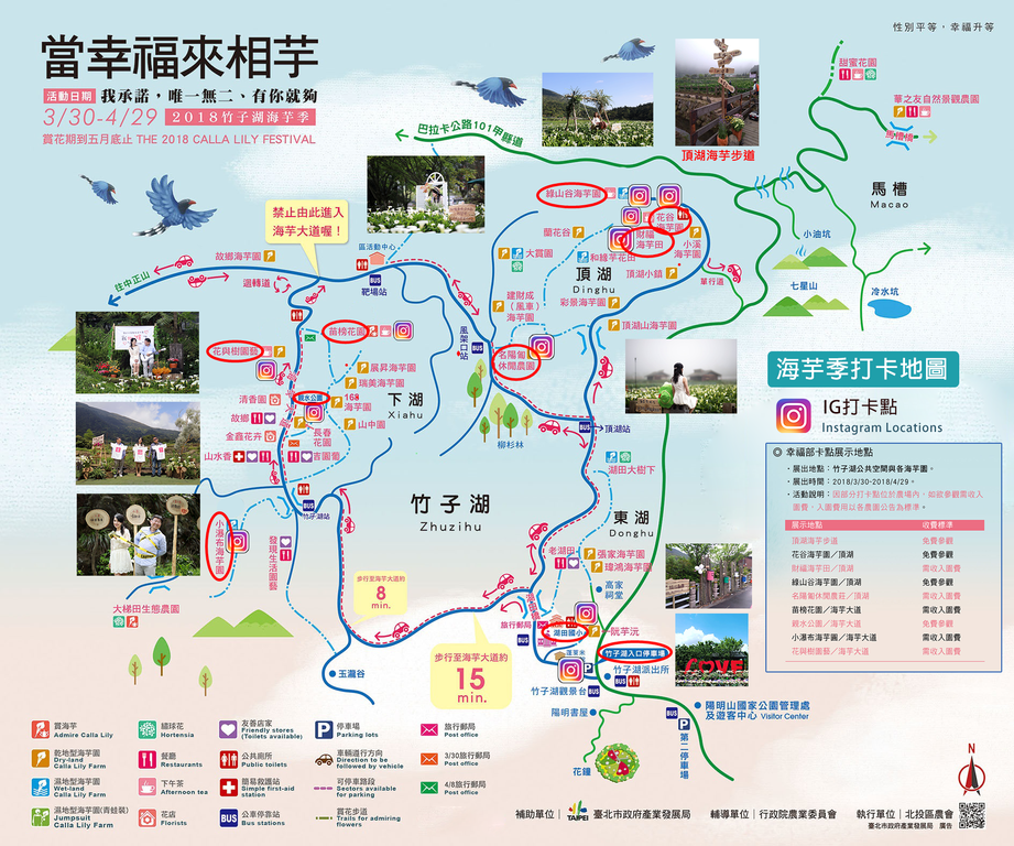 2018竹子湖海芋季