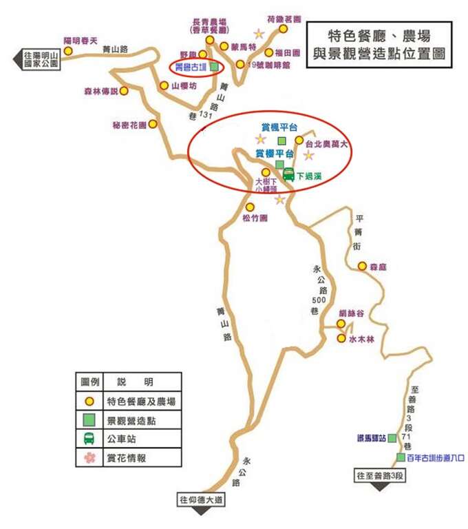 森林療癒正夯　士林菁山賞槭紅紓壓