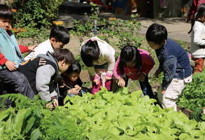 台北画刊104年4月第567期—打造健康田园城市,社区学校齐步走